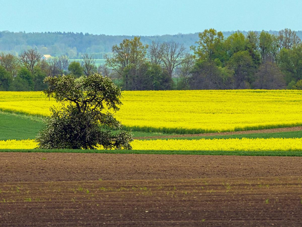 Cztery Luksusowe Domy Na Mazurach, Jezioro Juksty - Sakurarest Sniadowo  Exteriör bild